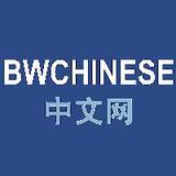 BWC中文网头像