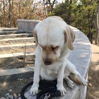 俺要顿顿吃you头像