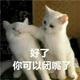 ZwtLike头像