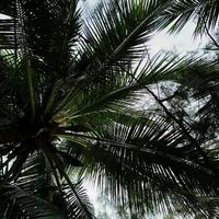 风的声音头像
