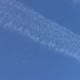 倪同学612头像