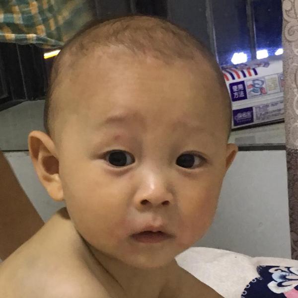 就看了鸡飞蛋打头像