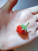 nuannuan的个人资料头像