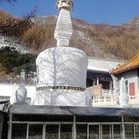 自由假话真说头像