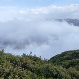 二手手机同行批发头像
