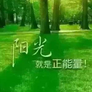 城楠黄小邪头像