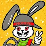 铁头兔🐰头像