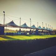 同young不同样的个人资料头像