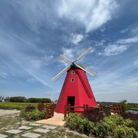 卖净水的阿飞头像