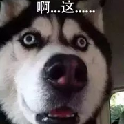 6uy6的个人资料头像