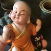 轩稀彩头像