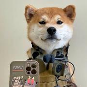 GENESIS的个人资料头像