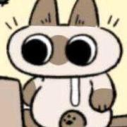 nullcache的个人资料头像