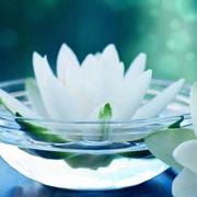 246246星星小余的个人资料头像