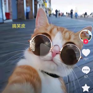 西北狼人头像