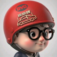 比亚迪团购迪迪魏头像