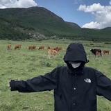小洋同志245头像