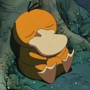 可达龟的个人资料头像