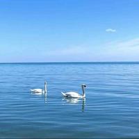 才高八斗面条oeI头像