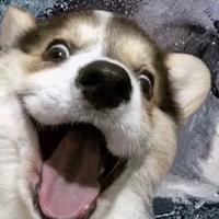 用户1572131864085头像