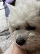 炒米线的个人资料头像