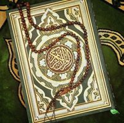 MahamadRafhat的个人资料头像