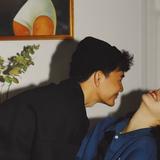 保护怪兽的奥特曼235头像
