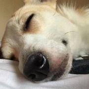 tking283的个人资料头像