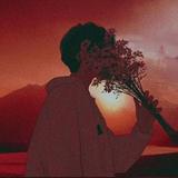 迷离13333头像