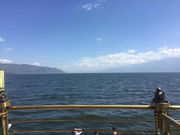 叫啥都重名了的个人资料头像