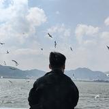 一只孤街流浪的人儿头像