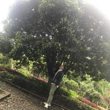 小僧回头469头像