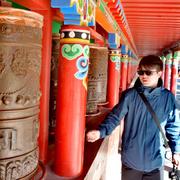 Tank的个人资料头像