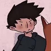 529的个人资料头像