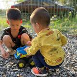 天空飞舞南方头像