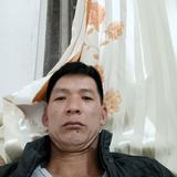 披着羊皮的狼头像