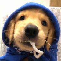 买烟也用劵的阿哲头像