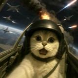 正义凛然橙子zZZ头像