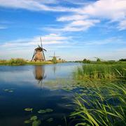 fuwenchun的个人资料头像