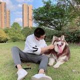 用户4084375095456头像