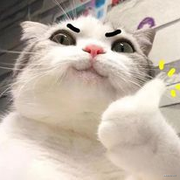 不白而痴的个人资料头像