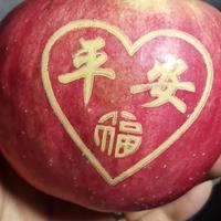 大脸猫咪123456789头像