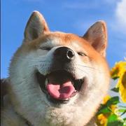 YushenFeb的个人资料头像