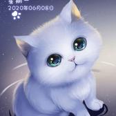 世事如棋1221头像
