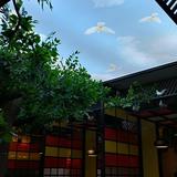 月之芯头像