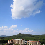 乘风破浪26355头像