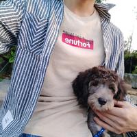 梦想高R的菠萝车主头像