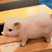 一棵前端小白菜的个人资料头像