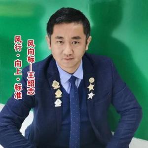 SX风向标头像
