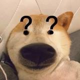 永远都这么懒头像